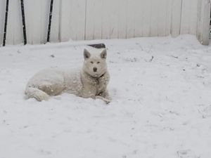 . Dakota .