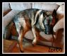 . Zorba (experienced foster home also needed) .