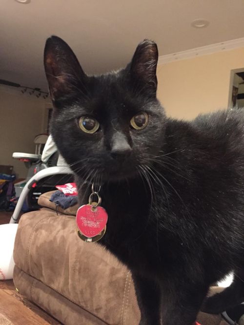 Photo of Zorro