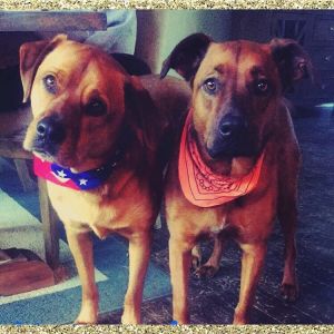 . Cooper & Roxi .