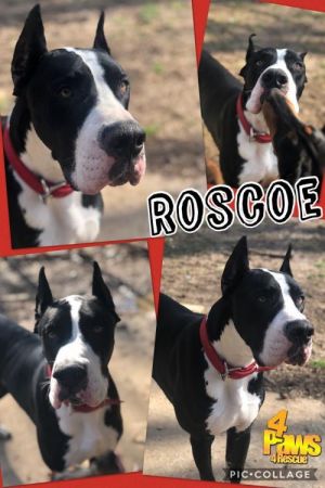 . Roscoe .