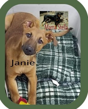 . Janie .