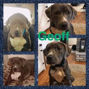 . Geoff .
