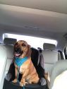 . Buddy aka JBo .