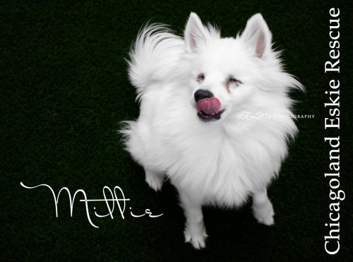 Mittie