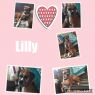 . Lilly - Need Foster .