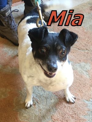 . Mia .