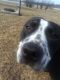 . Cooper .