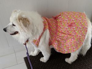 . Maybelle .