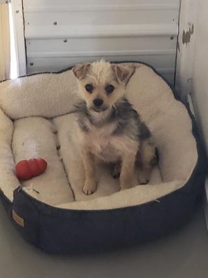 . Max .