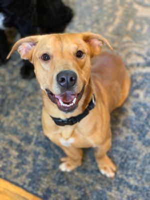 Photo of Gunny