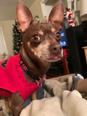 . Twix .