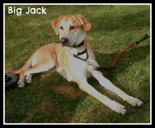 . Big Jack .