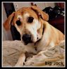 . Big Jack .