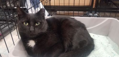 Photo of Junior