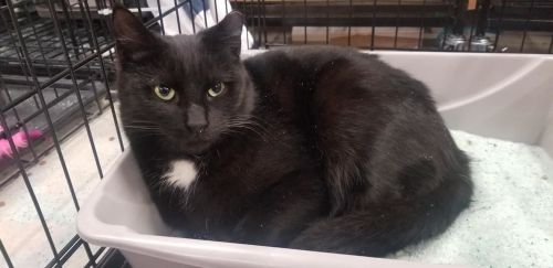 Photo of Junior