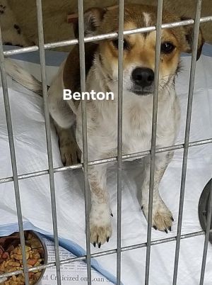 . Benton .