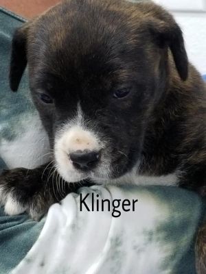 . Klinger .