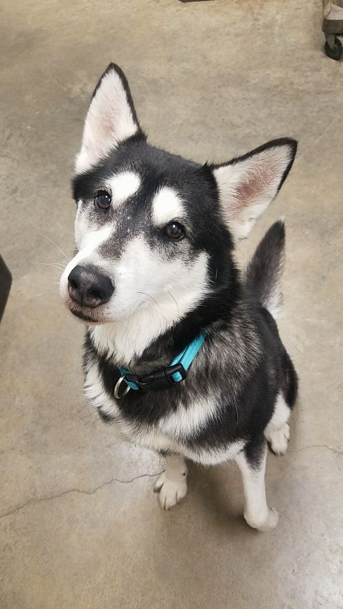 . Sierra .