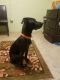 . Zoey .