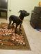 . Zoey .