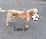 . Barney .