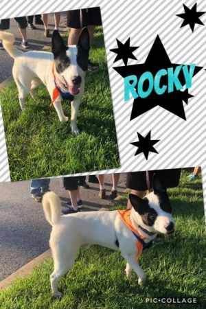 . Rocky .