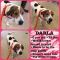 . Darla .