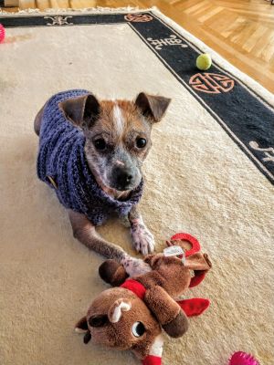 . Hairy Pawter .