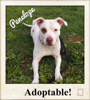 Photo of Penelope