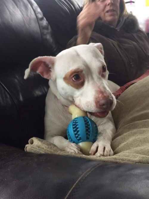 Photo of Penelope