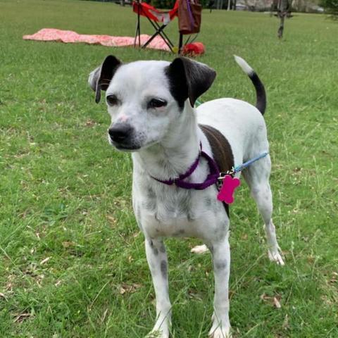 . Dottie .