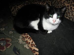 Photo of Ms. Buttah