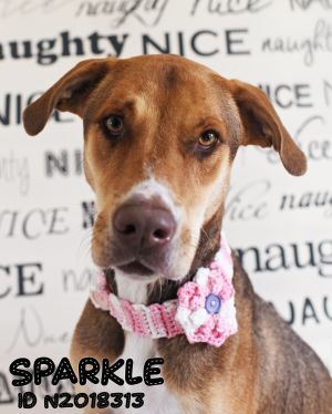 . Sparkle .