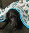 . Duke .