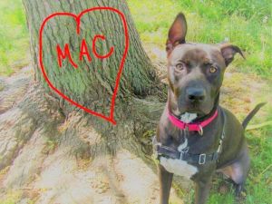 . Mac .