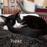 . Tux and Topaz .