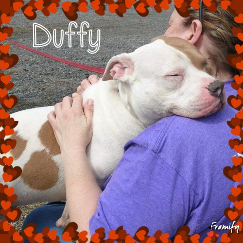 Photo of Duffy
