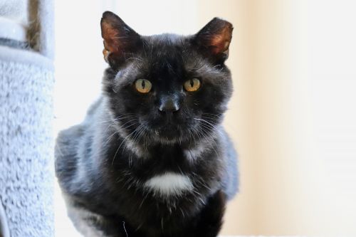 Photo of Mr. Big