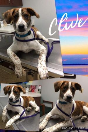 . Clive .