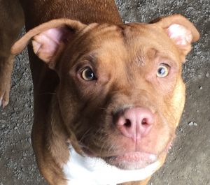 . Gus .