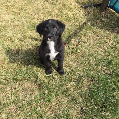 . Zeus .
