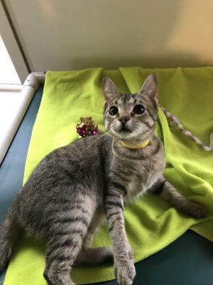 . Luna .