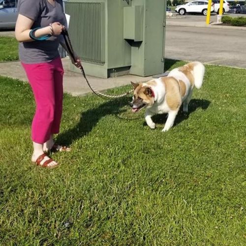 . Rosie .