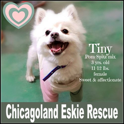 Tiny
