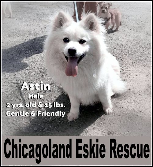 Astin