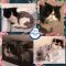 . Minxie and Baby Doll .