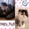 . Minxie and Baby Doll .