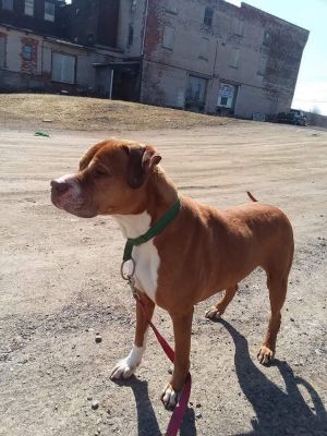 Photo of Otis