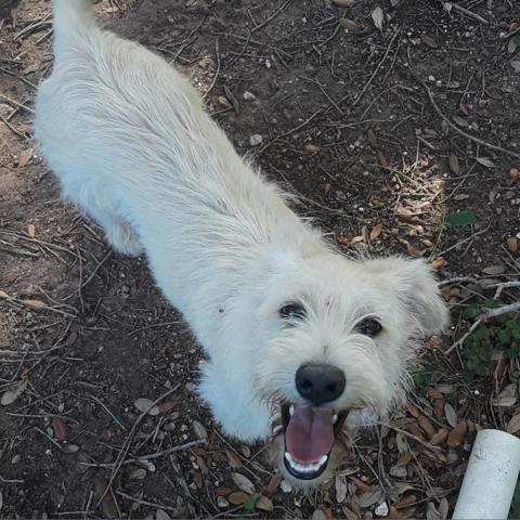 . Diego .